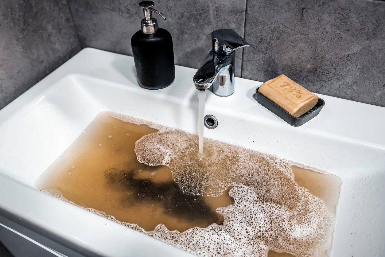 Drain strainer in a shower in a Gilbert Arizona home to prevent clogged drains